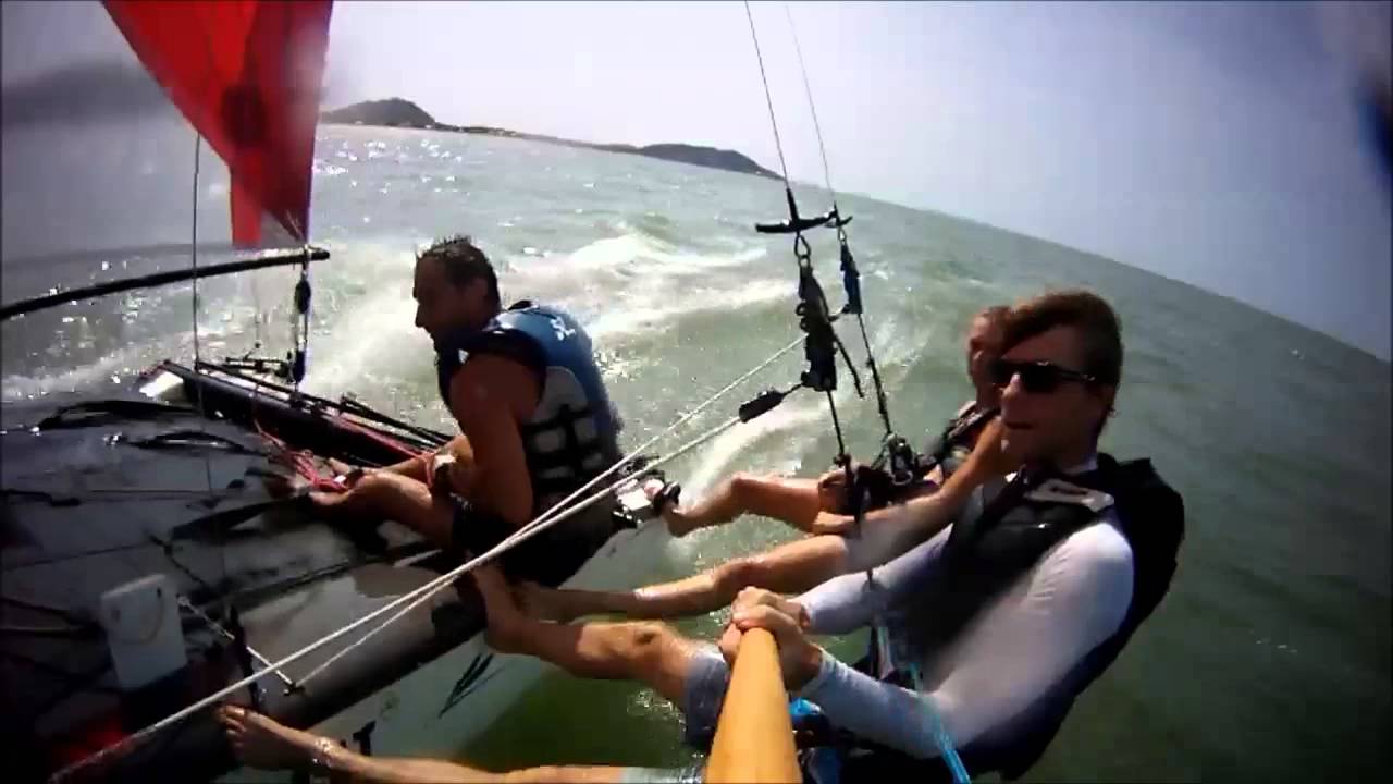 Apycat sortie en Wild cat