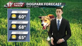 Tracking Warming Temperatures and More Sun