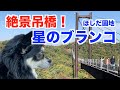 チワワと絶景吊橋の「星のブランコ」へ行ってきた!