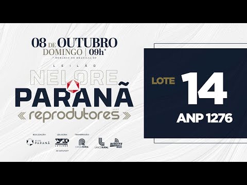 LOTE 14 ANP 1276