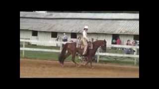Miss Ruby Wilson 2yr old debute at Hodgenville