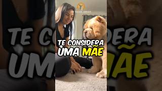 Você É A Mãe Do Seu Cachorro?