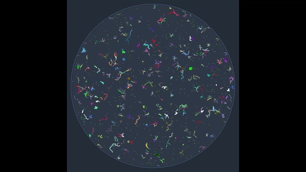 The Swimbot NFT Pool