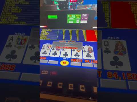 største første indbetalingsbonus fra Rich Casino