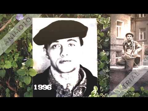 Вор В Законе Крыл 