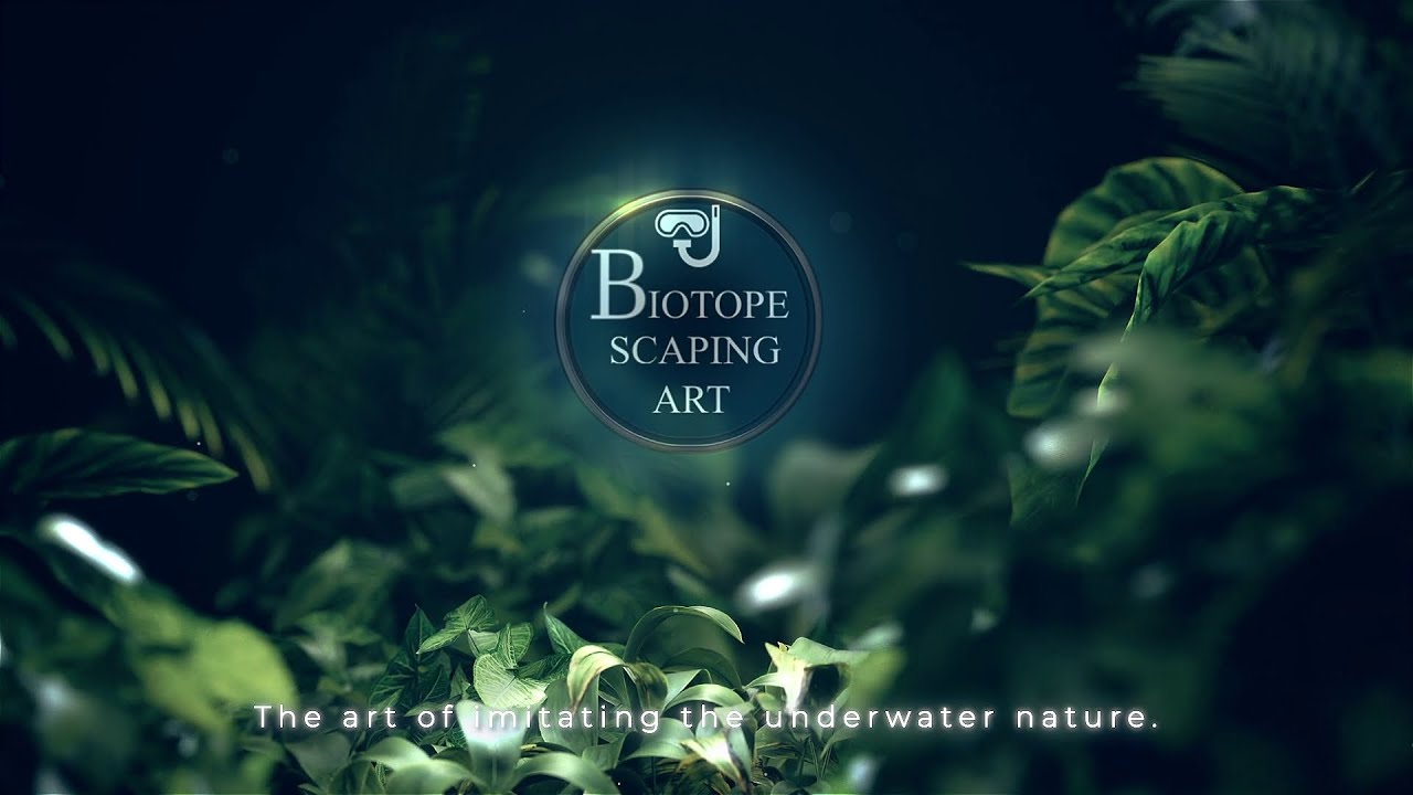 Biotopescaping  Art Trailer