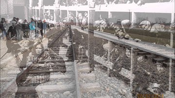 Lessons From Auschwitz: The role of the bystander and the perpetrator
