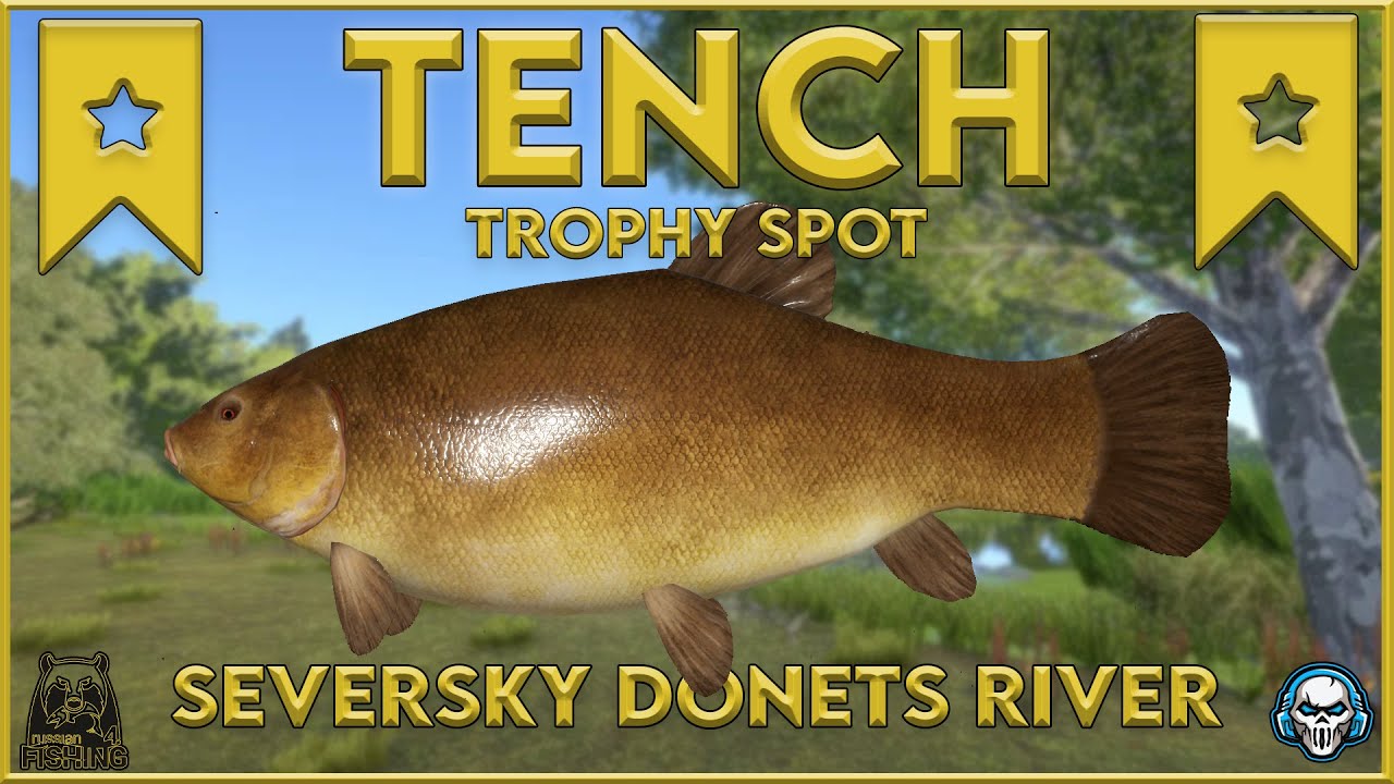 TENCH TROPHY SPOT! SEVERSKY DONETS RIVER - Russian Fishing 4 