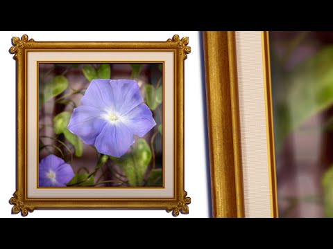 Digital Art - Picture Frame (Corel Painter SpeedPaint) - Digital Art - Picture Frame (Corel Painter SpeedPaint)
