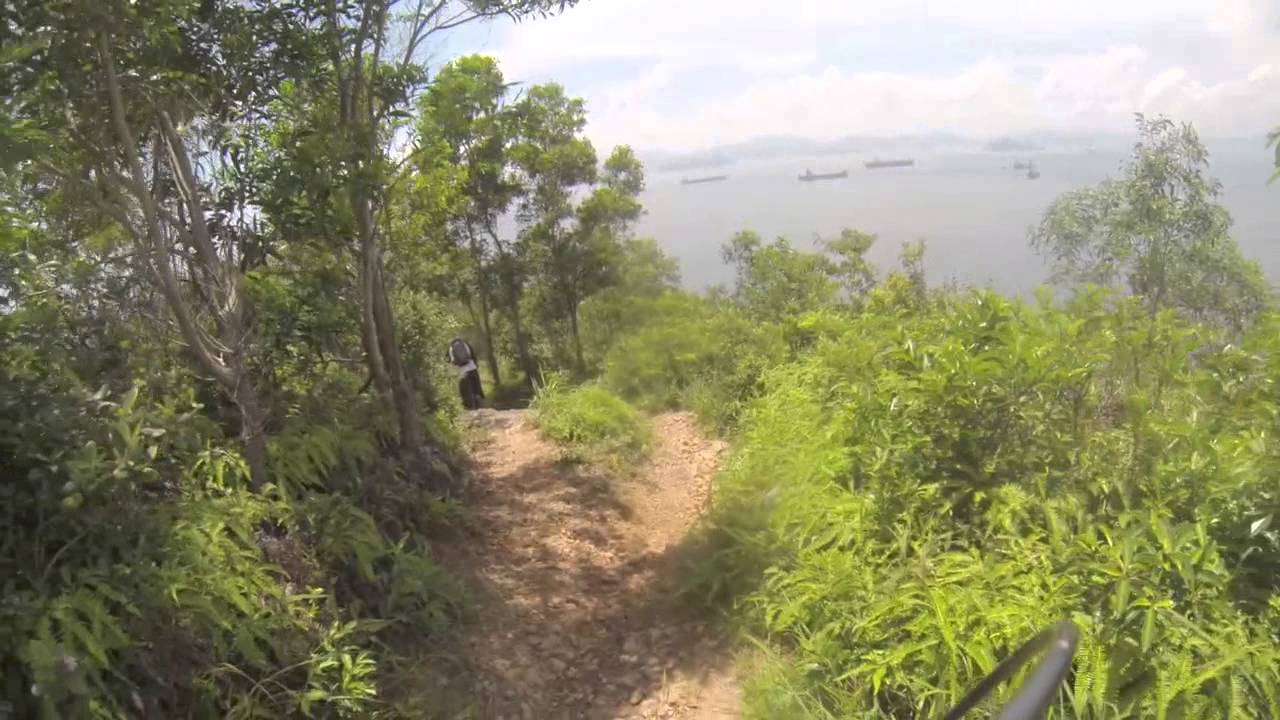 Project X Lamma Downhill