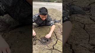 We Dug Into a Mysterious Hole in an Old Fish Tank… What We Found Was Shocking! #shorts #short