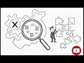 OWASP Amass Tutorial | Subdomain Enumeration for Beginners