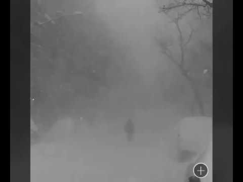cashmere-cat---trust-nobody-(ft.-selena-gomez-&-tory-lanez-)(-lyrics-&-pictures-)