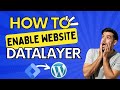How to Enable Data Layer in WordPress Website Data Layer in GTM 2023 | Smart Analytics