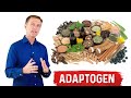 What are Adaptogens? – Ashwagandha Explained by Dr.Berg