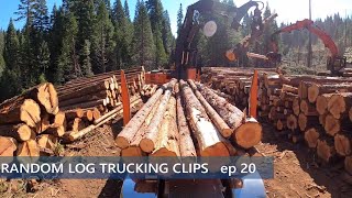 Random Log Trucking Clips ep20 by Fourth Over 1,566 views 6 months ago 13 minutes, 25 seconds