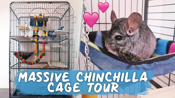 11 Year Old Chinchilla Gets A New Cage!! | Chinchi...