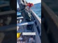 موسم صيد الخبوط 🌊🌊🐙🐙🌊#fishing