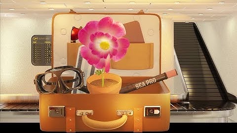 Travelling outside the EU? Take pictures, don