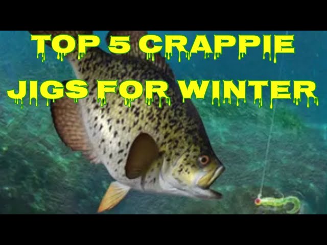 Top 5 Crappie Baits For Winter 