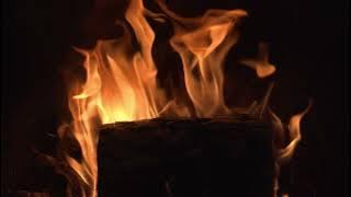 طاحن نجوم الليل – أحمد فكرون | Acoustic Cover 🎶