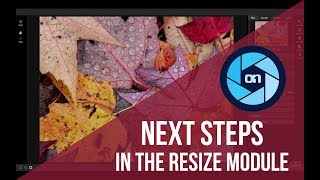 Next Steps in Resize – Photo RAW screenshot 5