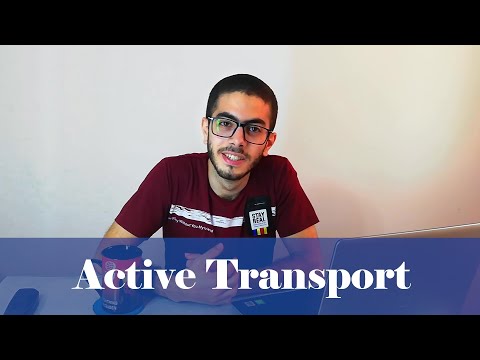 فيديو: لماذا النقل النشط مهم؟