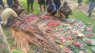 Matchu Jilaba Kaesa Siaria Jinma Giljok