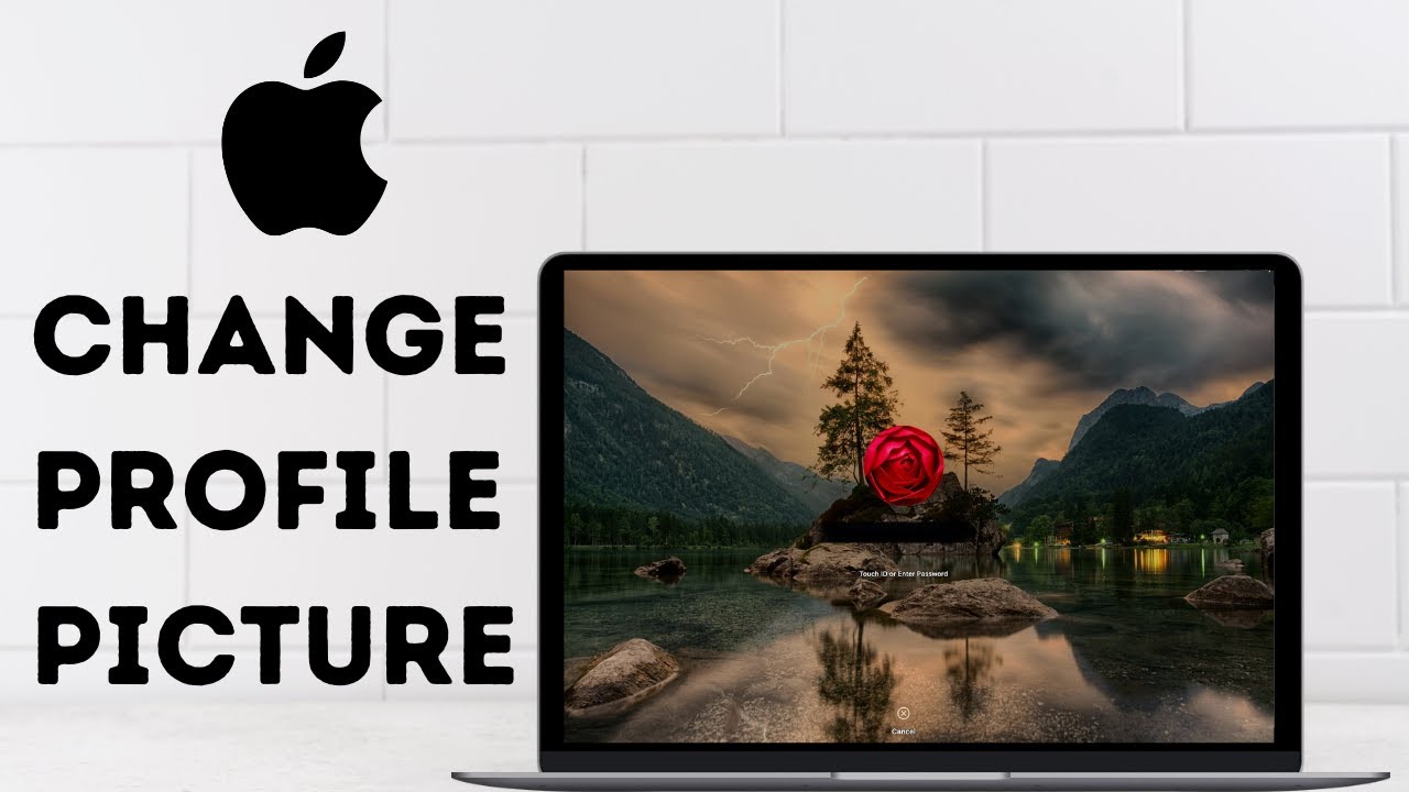 How To Change Profile Picture On MacBook Lock Screen YouTube how-to-change-profile-picture-on-macbook-lock-screen-youtube