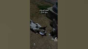 #صدقة سقيا الماء #اذكار #اكسبلور #دويتو #تاج_الذكر