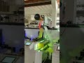 High Quality Roll to Roll Label Flexo Printing Machine with UV Dryer Die Cutting Slitting Device