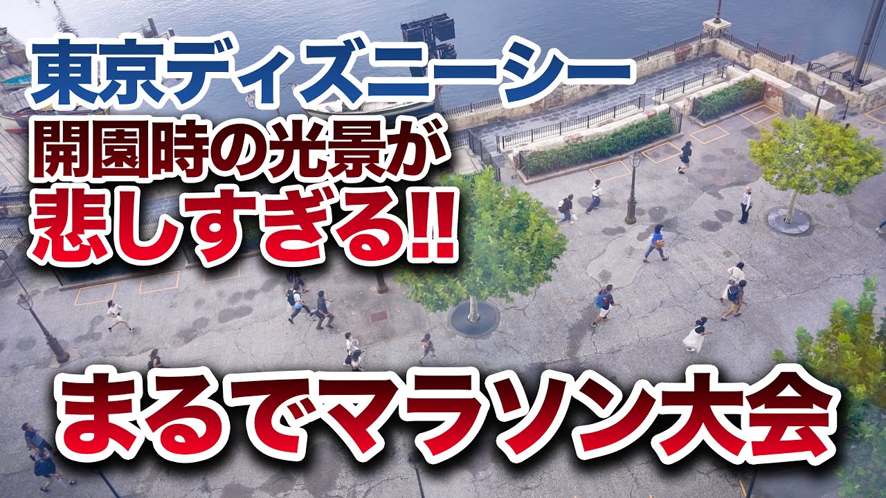 搜索ディズニーシー相关的youtube红人 Youtube网红搜索工具 Noxinfluencer