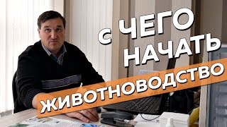 С чего начать Животноводство новичку