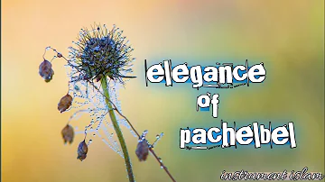 The elegance of pachelbel