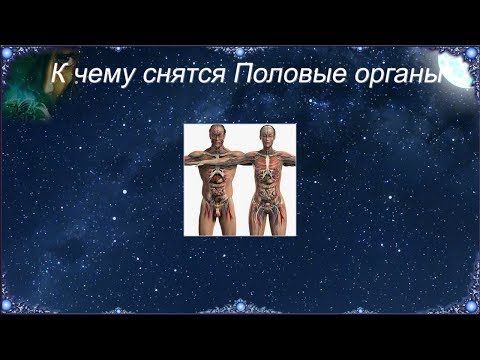 К чему снятся Половые органы (Сонник)