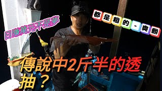 拿上萬釣竿vs千元釣竿釣上起上萬元的透抽職人釣魚能賺多少