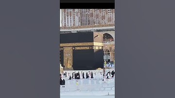 القران الكريم هاني الرفاعي