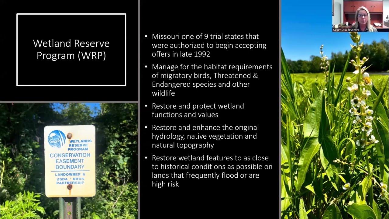 Wetland Reserve Easement inar April 13th, 2023 YouTube