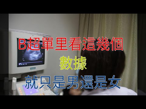 B超單里看這幾個數據，就只是男還是女