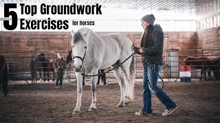 Top 5 Groundwork Exercises for Horses - Clearly Communicating screenshot 3