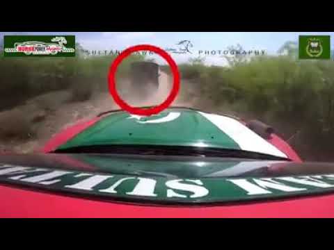 Sultan Jeep Relly Amazing driving of sahbzada sultan Muhammad Ali at chakwal jeep rally ...