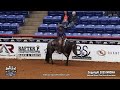 NRCHA Snaffle Bit Futurity® Non Pro Cow Work: Shannon Haskins & Just A Stylish Boon