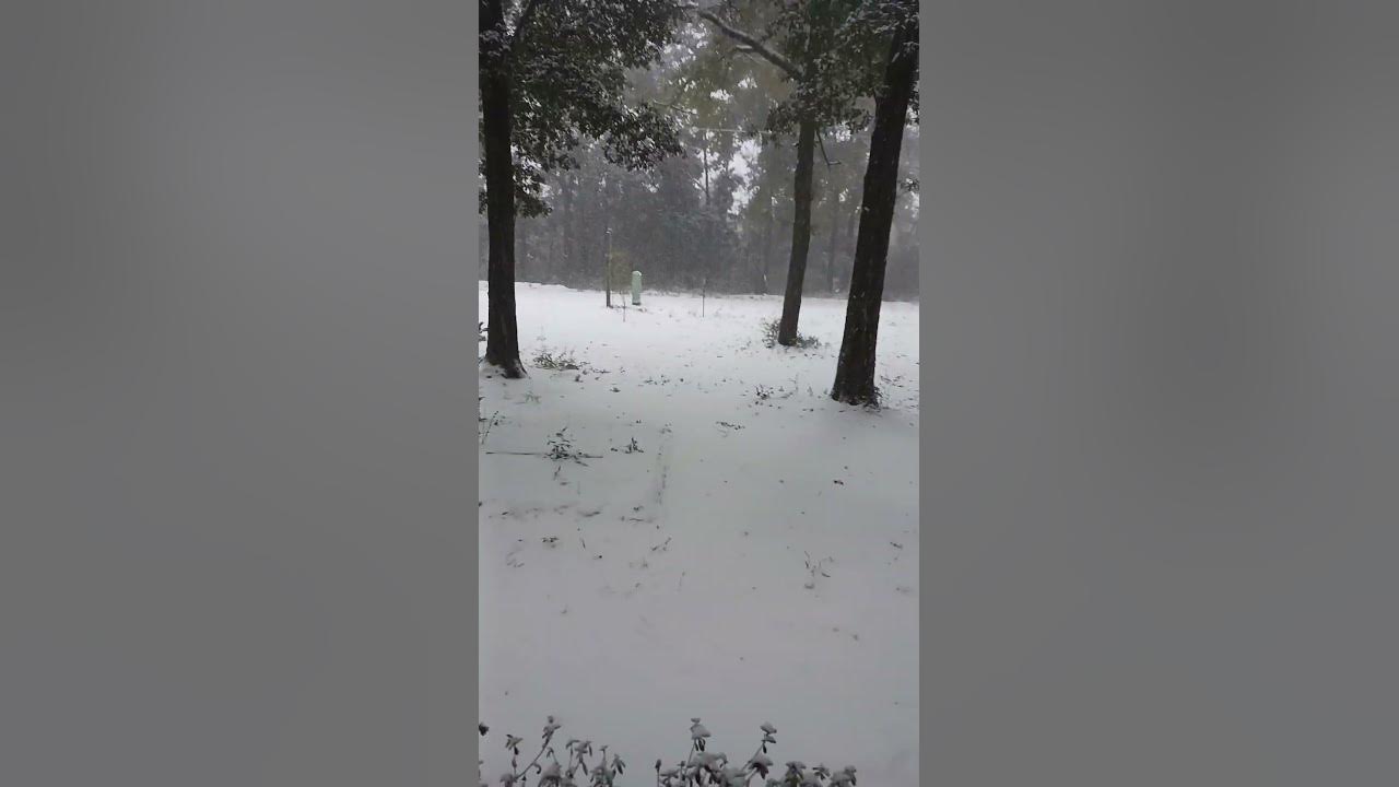 Florida Snow 2025 YouTube