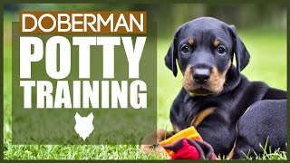 DOBERMAN POTTY TRAINING