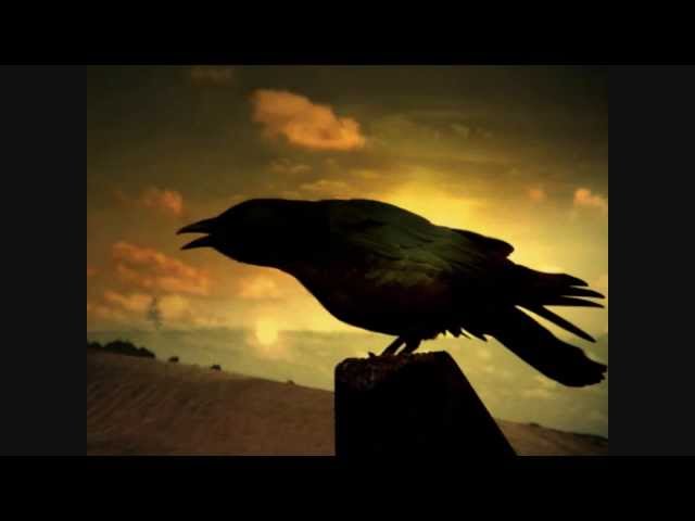 Scorpions - Yellow Raven