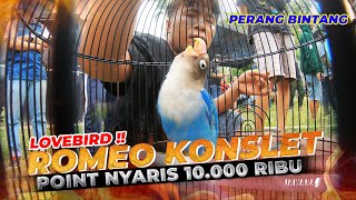 LOVEBIRD KONSLET INI PENILAIAN POINT NYARIS 10.000 RIBU 😱 || PERANG BINTANG ROMEO JUARA 3❗