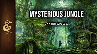 D&D Ambience | Mysterious Jungle | Immersive, Realistic, Animals