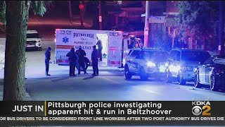 Police Investigating Shooting In Beltzhoover