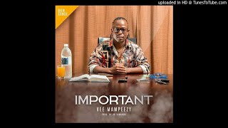 VEE MAMPEEZY - IMPORTANT ( prod by Dr Tawanda) chords