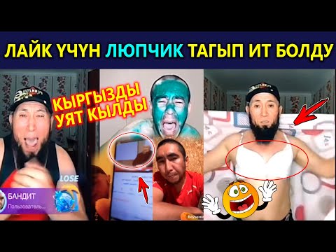 Video: Ак чачтуу иттер күнгө күйүшү мүмкүнбү?